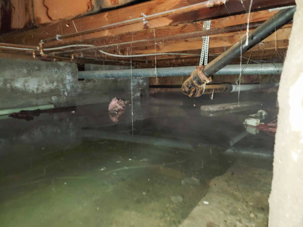 West Blocton, AL Water damage restoration Company